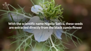 200 Gram Black Seed - 100% Pure Nigella Sativa Fresh From Turkey