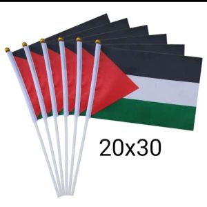 BENDERA TANGAN PALESTINA 20x30