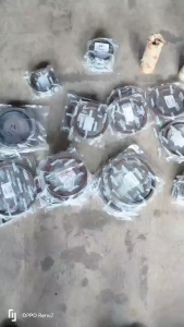 Phớt chắn dầu (oilseal) đuôi quả dứa cầu 2.5 tấn. Thông số 70x116x11/25 lò xo 2 tầng