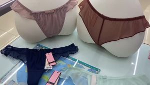 Quần lót nữ lưới thun mềm mại cao cấp_QL400