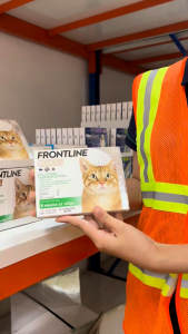 Frontline Plus Cat - Tuýp nhỏ gáy phòng Ngoại ký sinh (ve rận bọ chét) cho Mèo - 1 Hộp 3 tuýp