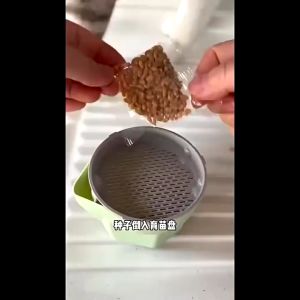 SKISOPGO Cat Grass Box Planter Growing Sprout Dish Pot Cat Food Hairball Solution Planting Box Catnip