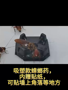 [Buy One Get One Free] Cockroach Balm - Safe For Homes And People Effectively Repels Cockroaches Significant Results. Cockroach And Ant Bait Cockroach And Ant Poison Cockroach And Ant Killer Multi-Functional Poison Household Insecticide Bait Box