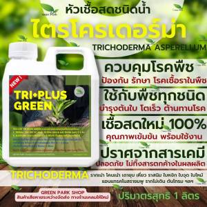 ไตรโคเดอร์มา เชื้อสด ชนิดน้ำ ขนาด 1 ลิตร ควบคุมโรค เชื้อรา ราก โคนเน่า ใบหงิก แคงเกอร ใบจุด ชีวภาพ ไม้ด่าง Trichoderma