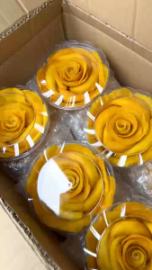 Xoài sấy dẻo xếp hoa mứt xoài hoa hồng dẻo ngọt tự nhiên-350g