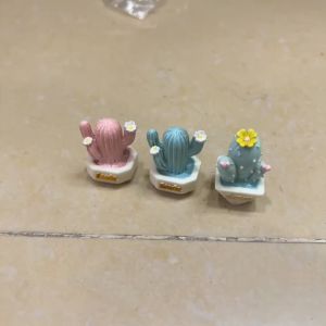 Mô hình tiểu cảnh chậu xương rồng trang trí terrarium sen đá xương rồng cây bonsai