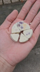 Bánh Thưởng Phô Mai Sữa Dê Mix Rau Củ Cho Hamster Sóc Thú Cưng nhỏ...