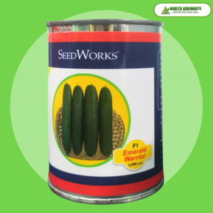 SEEDWORKS F1 EMERALD WARRIOR CUCUMBER SEEDS 70GRAMS (3000 SEEDS)