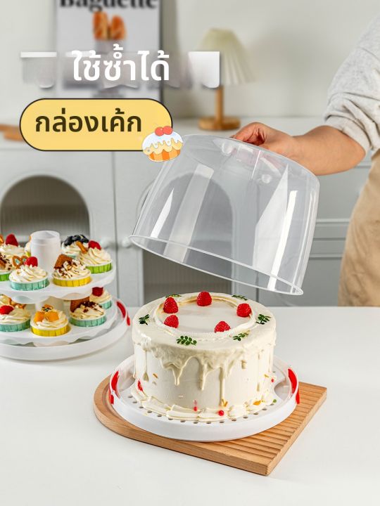 Meidi | กล่องเค้กใสแบบมีฝ้า ขนาด 6/8/10 นิ้ว | Lazada.co.th