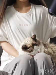 Pet Drying Box Intelligent Pet Hair Dryer Gentle Non-Irritating Cat and Dog Drying Box Silent Drying Ultraviolet Sterilization