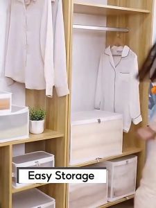 Wardrobe organiser Clothes Organizer Clothes cabinet storage  Transparent Storage Box  Wardrobe Organizer clothes storage box  Underwear organizer Bra organizer Panty Storage Box Closet Storage