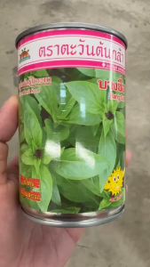 โหระพา บางซื่อ หมดอายุ 05/2569 ขนาด30 กรัม ตะวันต้นกล้า ลอตใหม่ ปลูกง่าย โตเร็ว ใบใหญ่ มีกลิ่นหอม ปลูกได้ทั้งปี ระยะเก็บเกี่ยว 30 วัน npkplant