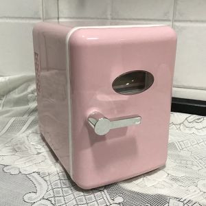 110V 220V 4L Mini Fridge Portable Refrigerator Warmer Cooler Beverage Drink Cans Samll Freezer for Home Kitchen Household