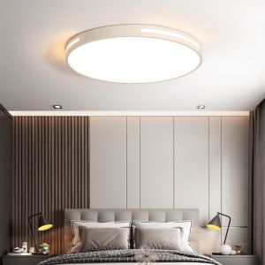 Modern Minimalist Ceiling LED Light