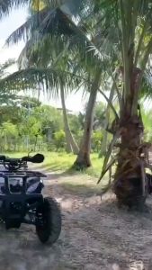 LBLS Niacinamide Lotion 250ML PRESTIGE Niacinamide 10x Soap or Milk Soap Whitening Skin Care