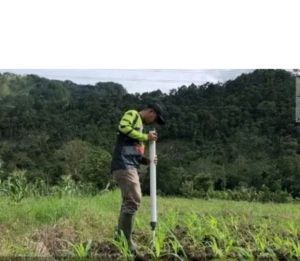 penabur pupuk jagung padat ukuran pipa 2 dim
