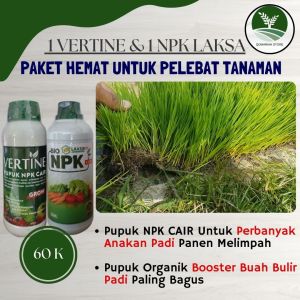 COD AMAN Pupuk Untuk Perbanyak Anakan Padi Terbaik - VERTINE&NPK LAKSA 500ML - Pupuk Padi Berbobot Besar Dan Lebat Panen Melimpah Rekomended