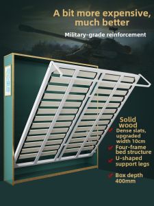 Strengthened Multifunctional Hidden Bed