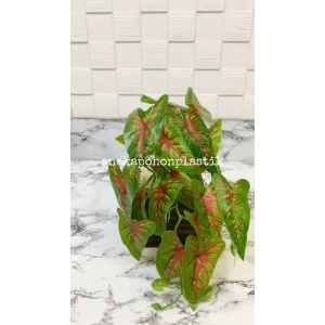 Pohon Artificial Tanaman Hias Rambat Juntai Mini Arrowhead Corak Merah Pot Motif Kayu Kotak Dekorasi Meja Tamu