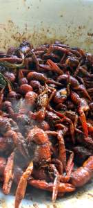 Crayfish LOBSTER AIR TAWAR MASAK SAMBAL SERAI. 300g