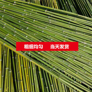 Bamboo Pole Vegetable Garden Rack Vegetable Cucumber Tomato Beans Rack Rod Bamboo Fence Fence Small Bamboo Thin Bamboo Pole Lattice