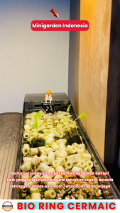 BIORING ZAK KARUNG bio ring ceramic putih media filter aquarium kolam rumah bakter aquascape