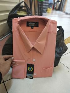 (COD)✅kemeja polos pria lengan panjang warna SALEM✅kemeja formal reguler fit✔️