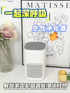 【SG In Stock】Replacement HEPA Filter for Air Purifier Spare Filter Core Dust Odor Air Cleaner Accessory