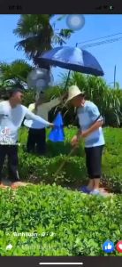 Ô dù đội đầu 2 tầng dùng để làm vườn câu cá và các hoạt động ngoài trời khác