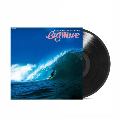 Vinyl Record 12 inch