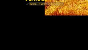 Childrens Farmer Car Tractor Inertia Car Transport Harvester Model Baby Toy Car Boys Toy Engineering Vehicle