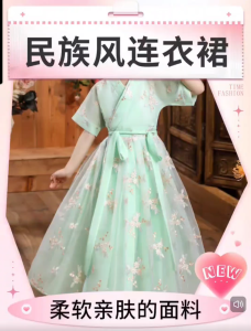 Girls Hanfu Princess Dress Chinese Traditional Costume Elegant Ancient Style Dresses for Kids DS04 Girl
