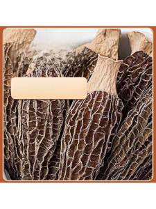 Wild Fresh Sheep Stomach Fungi Dried Mushrooms 500g