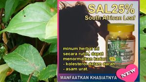 NHR South African Leaf (SAL) 25% 2 botol (99 kapsul/botol) untuk menurunkan kadar gula darah diabet hipertensi / tekanan darah tinggi