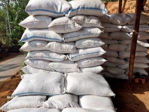 cocopeat media tanam