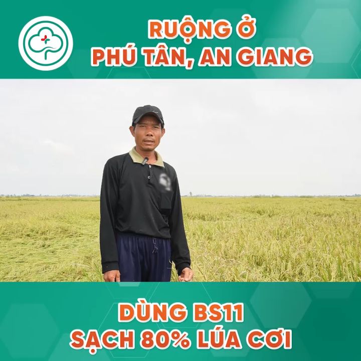 BS11 Quản Lí Lúa Lộn - Diệt Lúa Cỏ Lúa Ma Hai Tầng - Không Ảnh Hưởng Lúa Sạ - Bác Sĩ Cây Xanh