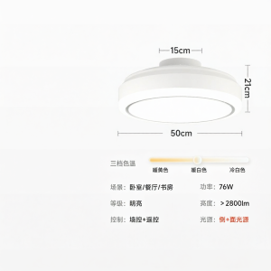 EYESPRO | Leafless Fan and Light New 2026