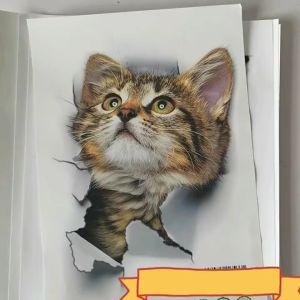 HOT SALE Stiker kucing lucu 3D stickers hewan nyata Animal Cat hiasan tembok dinding aksesoris dekorasi unik
