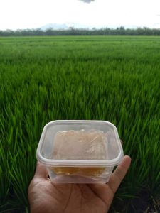 [PROMO HEMAT] MADU SARANG ASLI madu sarang/sarang madu/honeycomb 100 gram FREE BOX SENDOK BUBLEWRAP