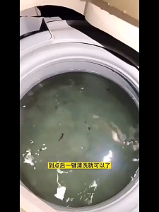 【 🇲 🇾 MY 𝗦𝗧𝗢𝗖𝗞】Japan Washing Machine Cleaner Tablets Laundry Machine Cleaning Agent 12pcs washer Foam cleaner Supplies Multipurpose Clean Stain Mold Remover Magic clean