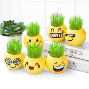 Mini Creative Child Planting Flower Pot