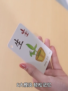SG RumahHome® Kids Chinese Words Learning Flashcards Early Educational Cards Kindergarten literacy cards Childrens Literacy Card
