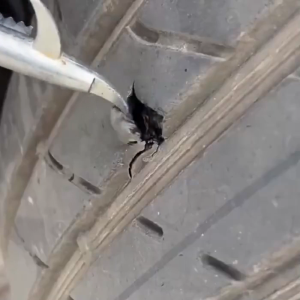 Lem Tambal Ban Mobil Motor 60ml Anti Bocor Instan Untuk Perjalanan Jarak Jauh Dan Darurat Praktis Dibawa dalam Mobil