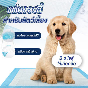 🐱พร้อมส่ง🐱 Happy Purr แผ่นรองฉี่สุนัข แมว แผ่นรองสัตว์เลี้ยง ซึมซับได้ดี ช่วยฝึกขับถ่ายระงับกลิ่น ขนาด M/L/XL