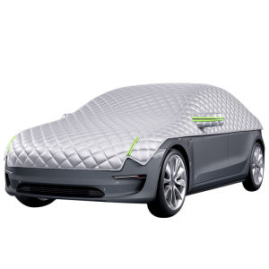 DELIHUA | Winter Anti-Frost Snow Windshield Cover