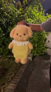 Semper Ba lô mũi nhỏ Poodle trẻ em ba lô Túi Búp Bê Semper lông chó đồ chơi búp bê