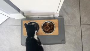 2-in-1 Pet Bowl Stainless Steel Double Bowl Elevated Protective Cat and Dog Food Water Bowl Food Container