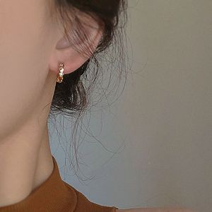 Elegant S925 Sterling Silver Beehive Earrings Womens Fashion Jewelry Minimalist Design Sensation Luxury Feelings Ear Studs