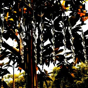 ที่ไล่นก แท่งไล่นก ยาว 29-29.5 ซม 🦅 (แพ็ค 5 ชิ้น) แบบเกลียว หมุนได้ อุปกรณ์ไล่นก ป้องกันนกมาทำรัง ทำจากพลาสติก เคลือบสีเงิน สะท้อนแสง