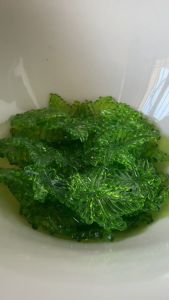 80 Pcs Green Grape Leaf Foiliage Beads (20 mm) for DIY beading crafts accessories Projects.